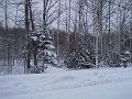 115-1522_IMG[1]